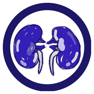 立克銘白 | 腎臟過濾